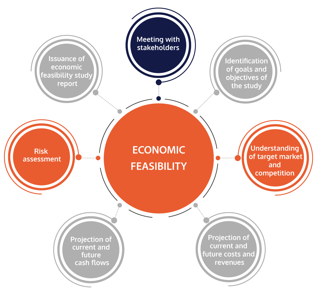 Economic-Feasibility-Studies-Infographics